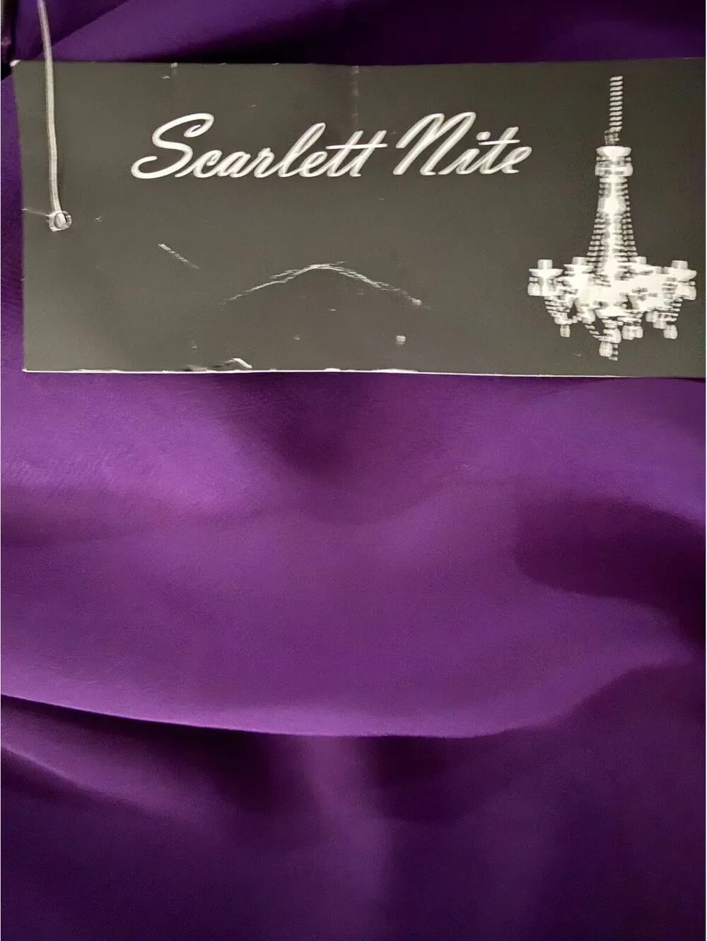 Scarlett Nite NEW Dress Size 10 Purple Eggplant Sleeveless Beaded Party Flare